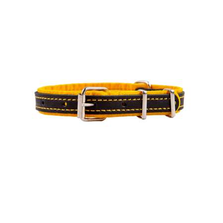 Ошейник для собак Arkon 40-54см Желтый