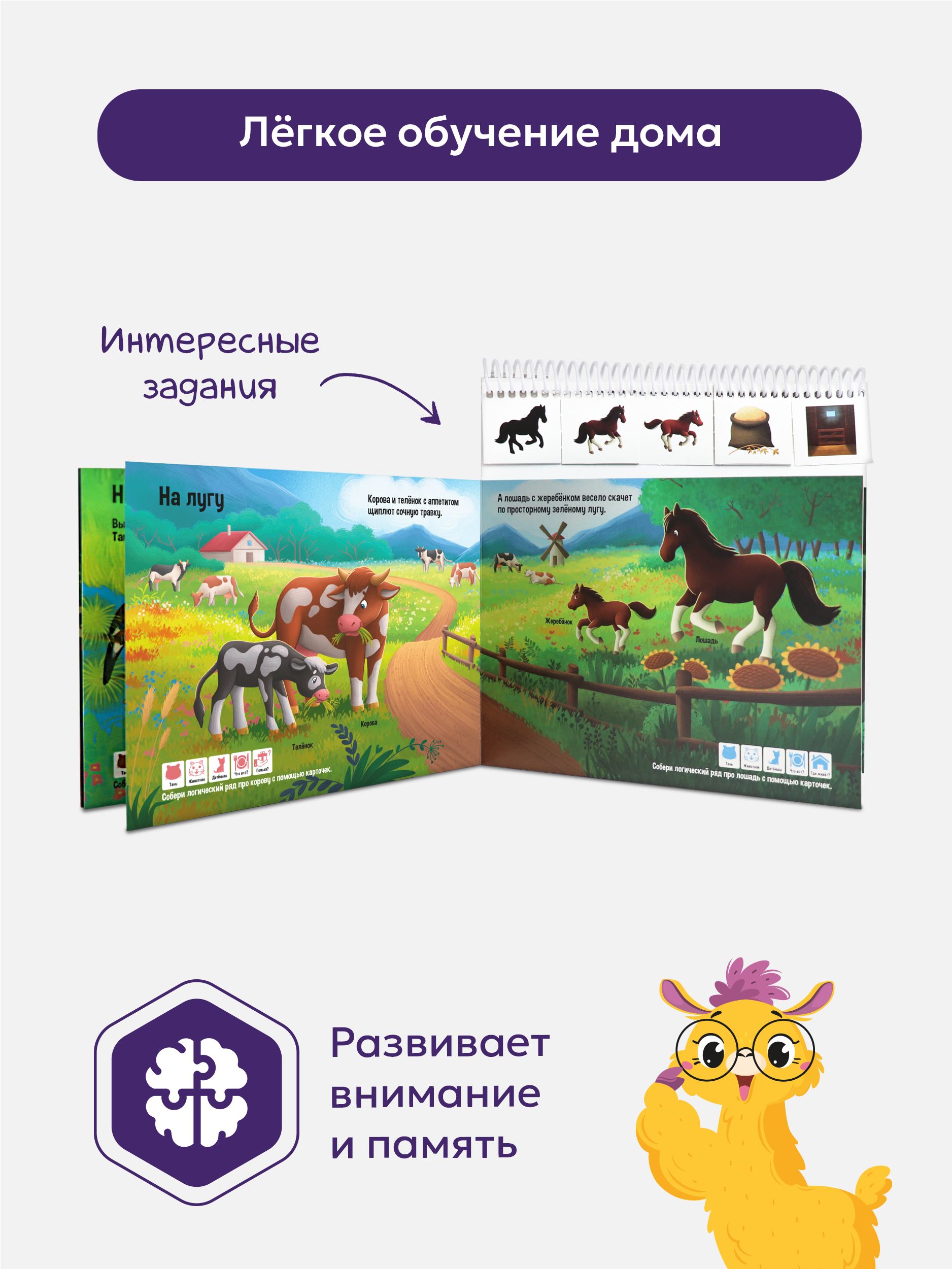 Энциклопедия для малышей Malamalama Развивающая книга Животные - фото 6