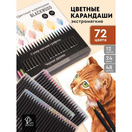 Карандаши цветные АРТформат 72 шт.