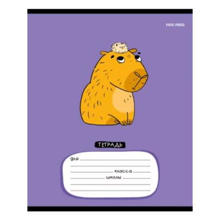 Тетрадь Prof-Press клетка 12 лист. 20 шт.