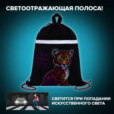 Мешок для обуви Brauberg