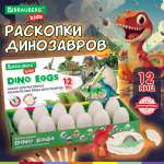 Набор для раскопок Brauberg