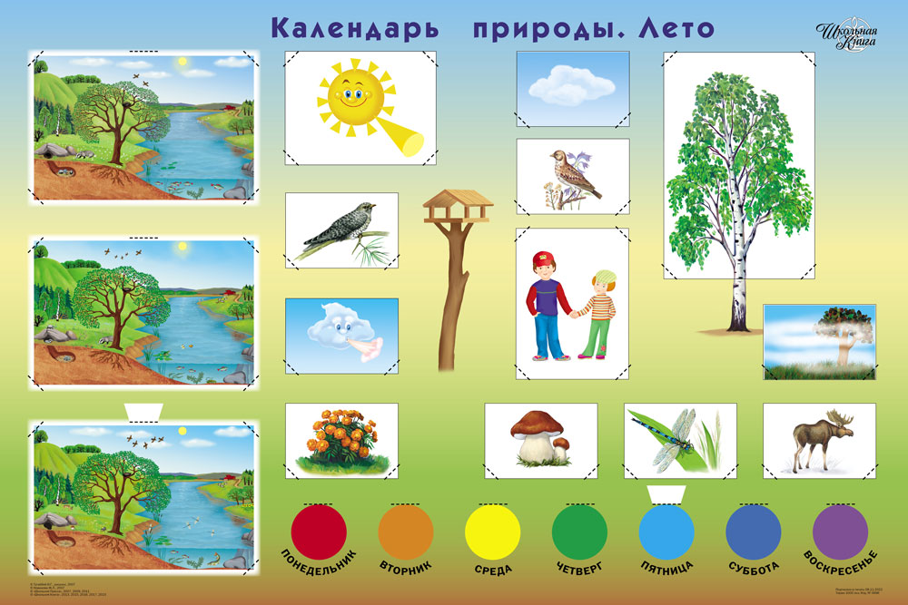 Книга Школьная Книга Календарь природы Демонстрационное учебное наглядное пособие - фото 3
