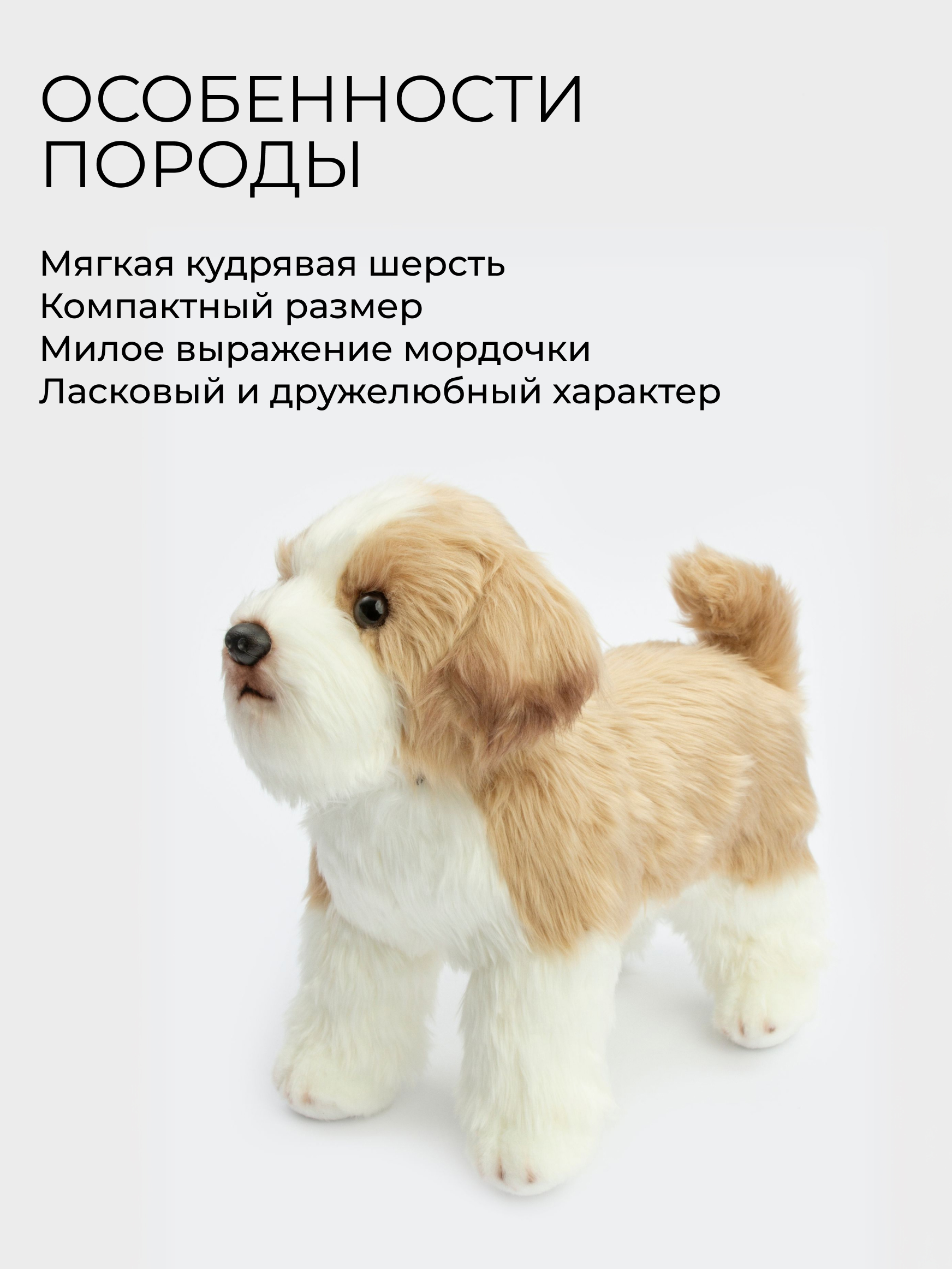 Мягкая игрушка GULLIVER toys Мальтипу, 29 см - фото 3