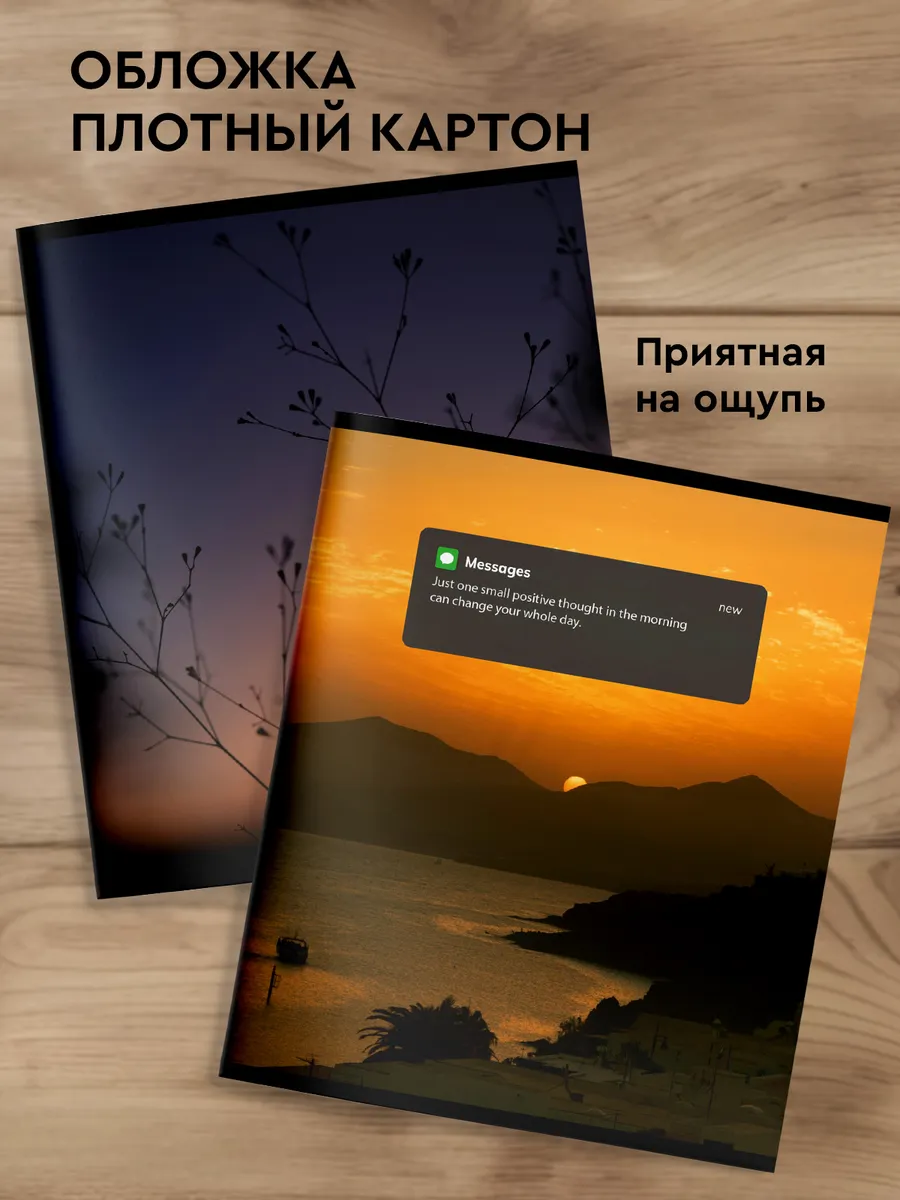 Общая тетрадь SCHOOLFORMAT клетка 5 шт. - фото 3