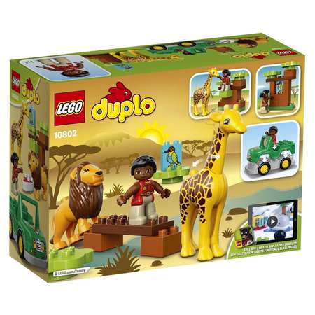 Конструктор LEGO DUPLO Вокруг света: Африка блочный
