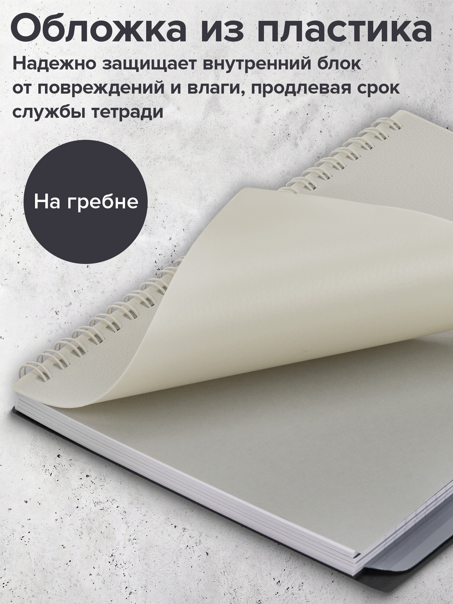 Тетрадь Brauberg клетка 80 лист. - фото 3