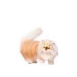 Мягкая игрушка HANSA