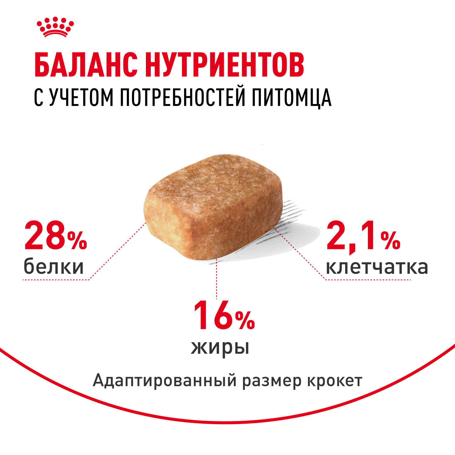 Корм для собак ROYAL CANIN породы чихуахуа 500г - фото 4