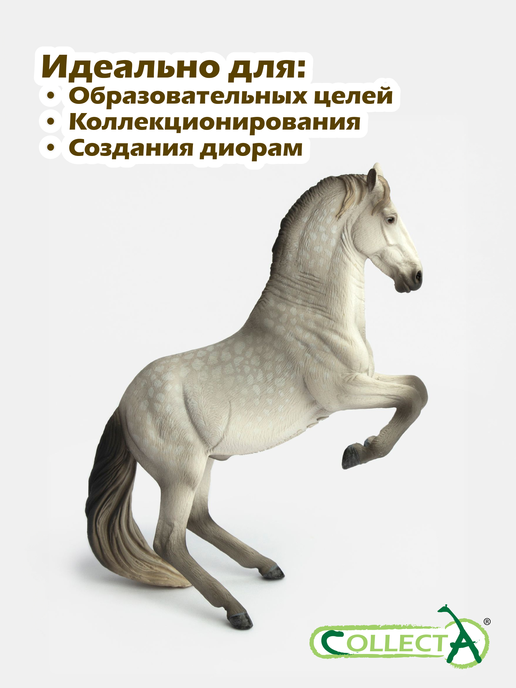 Фигурка Collecta Серый Липицианский жеребец - фото 6