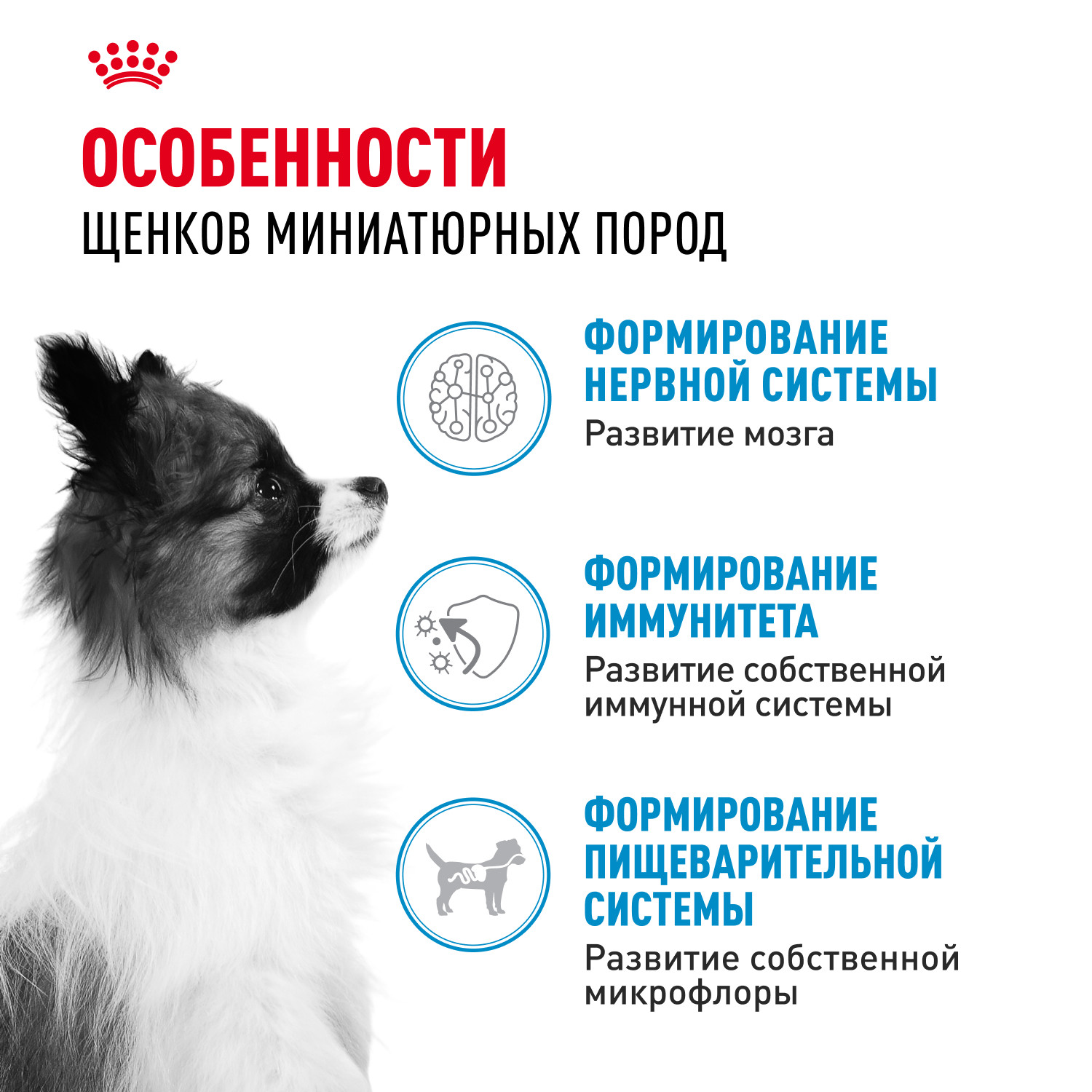 Корм для щенков ROYAL CANIN Puppy миниатюрных пород 3кг - фото 2