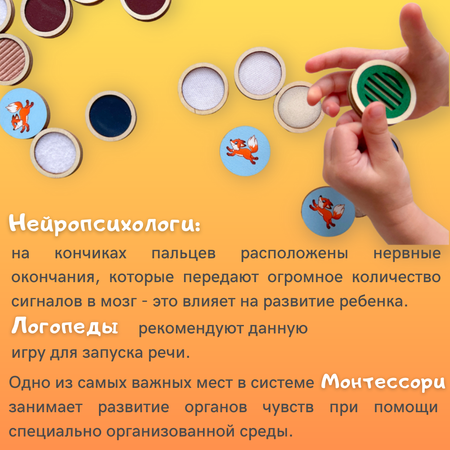 Игрушка CleverFox сортер Монтессори