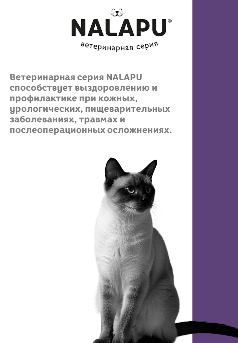 Корм для кошек NALAPU Recovery для взрослых кошек для восстановления питания и выздоровления 77г - фото 4
