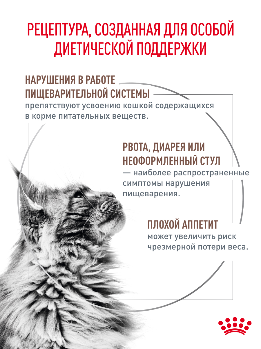Корм для кошек ROYAL CANIN 350г Gastrointestinal - фото 2