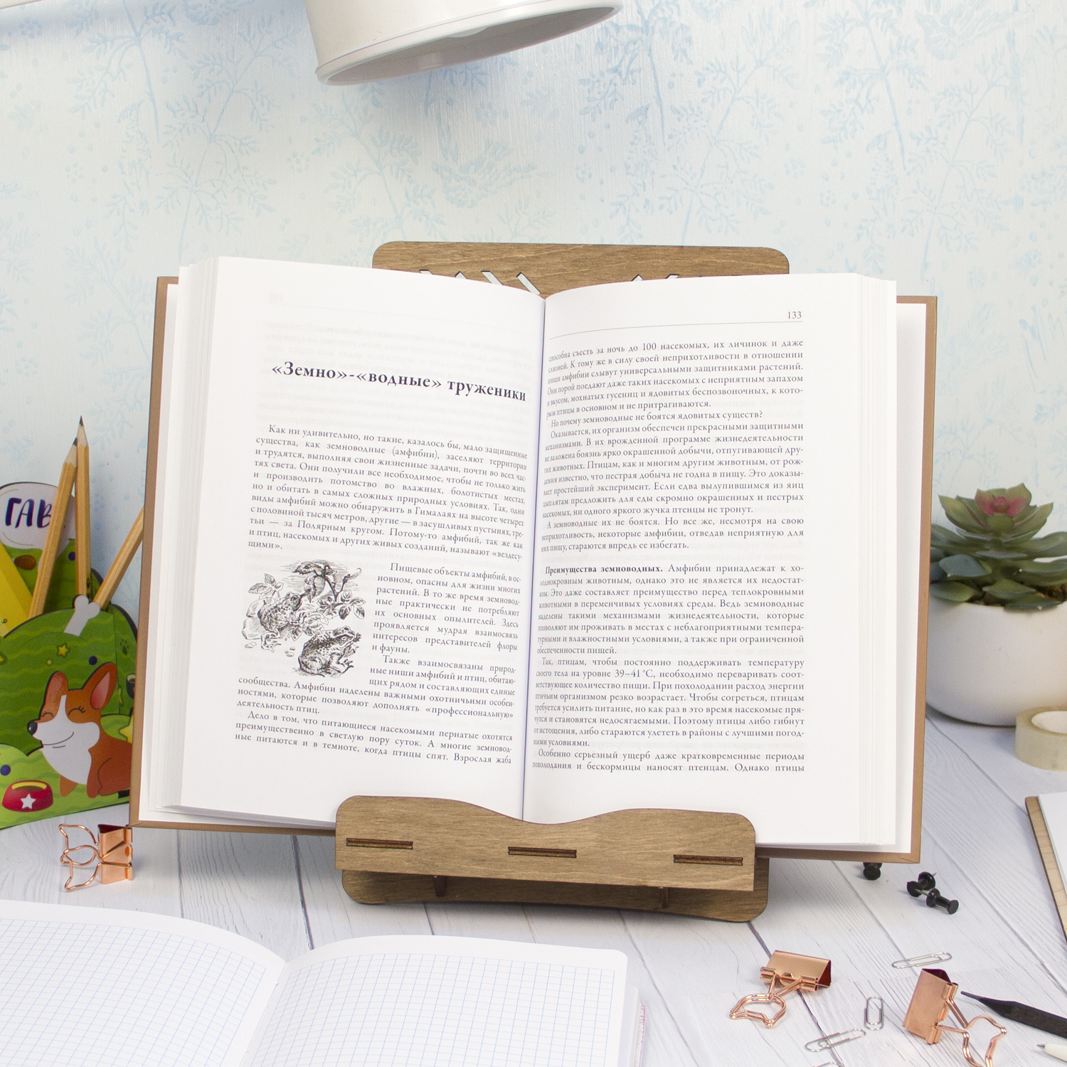Подставка для книг Символик - фото 7
