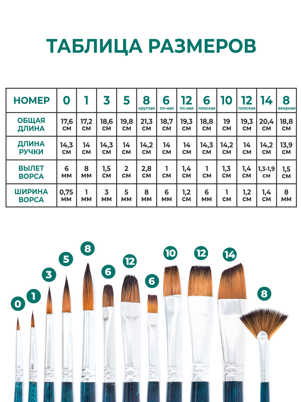 Кисть Малевичъ 12 шт. - фото 2