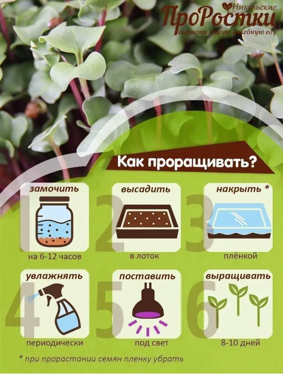 Семена для микрозелени MegaMedia редис - фото 9