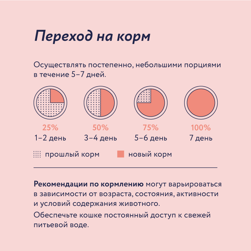 Корм для стерилизованных кошек сухой Florida Sterilised с лососем и черникой 4кг - фото 5