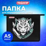 Папка для труда Пифагор А5