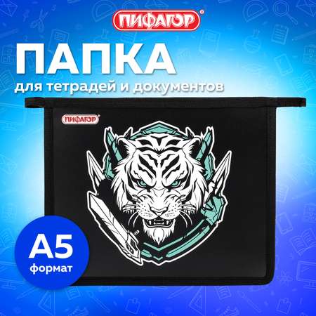 Папка для труда Пифагор А5