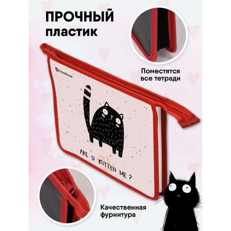 Папка для тетрадей SCHOOLFORMAT А5