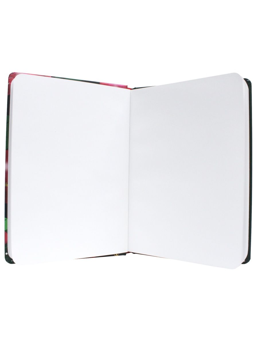 Скетчбук Проф-Пресс Новогодний. Аниме А5 64 лист. 1 шт. - фото 3