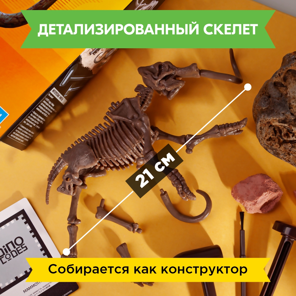 Набор для раскопок 4M - фото 9