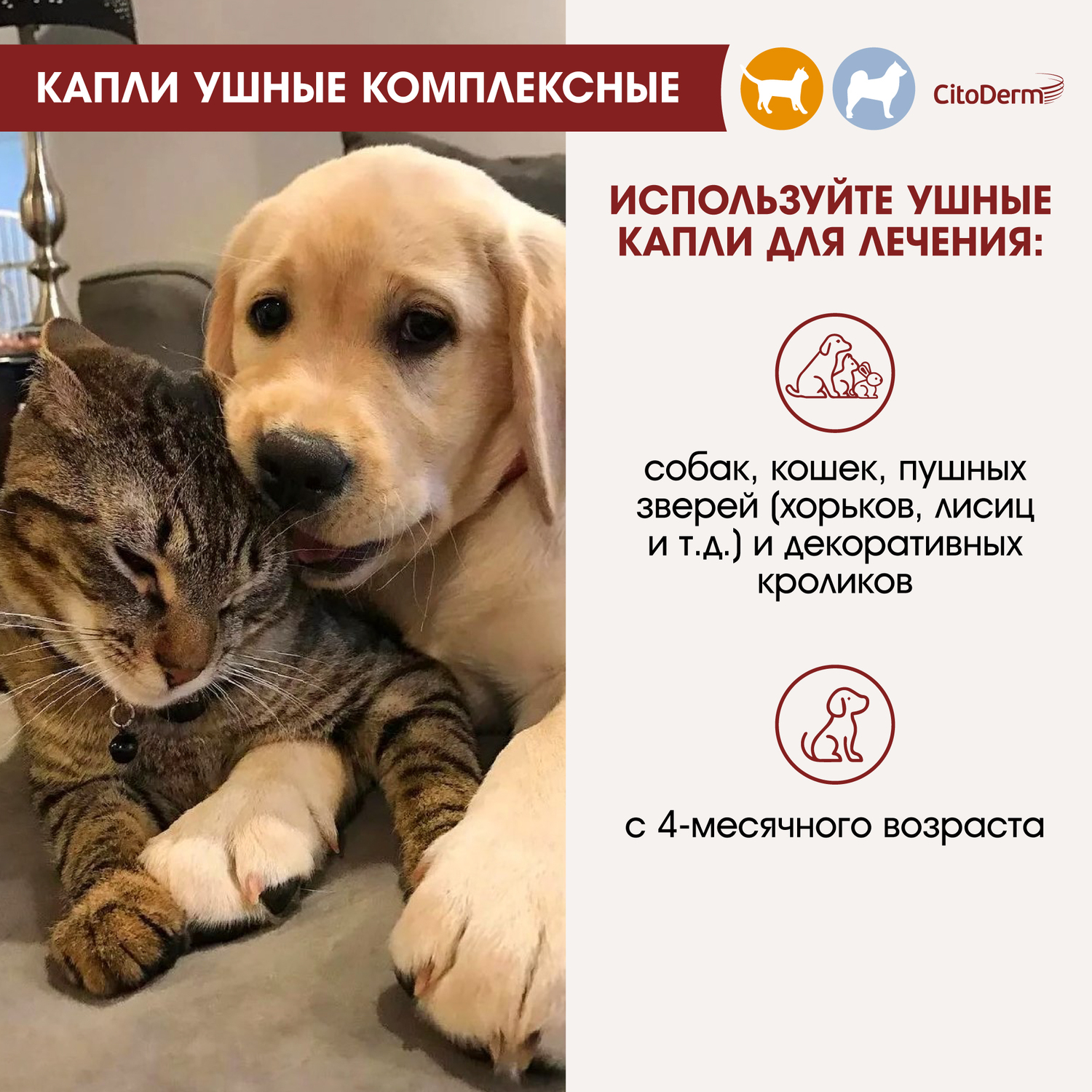 Капли ушные для животных CitoDerm комплексные 10мл - фото 3