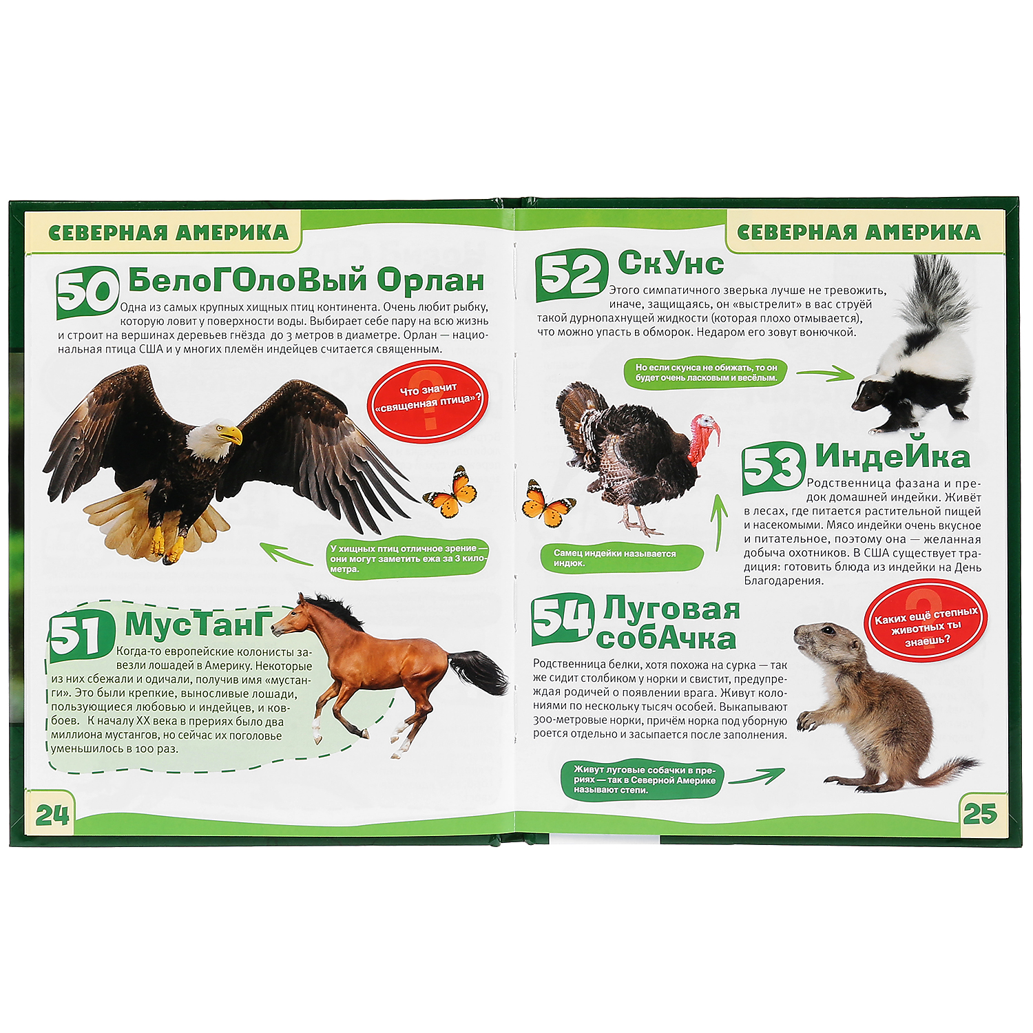 Энциклопедия УМка Животные. 100 фактов - фото 3