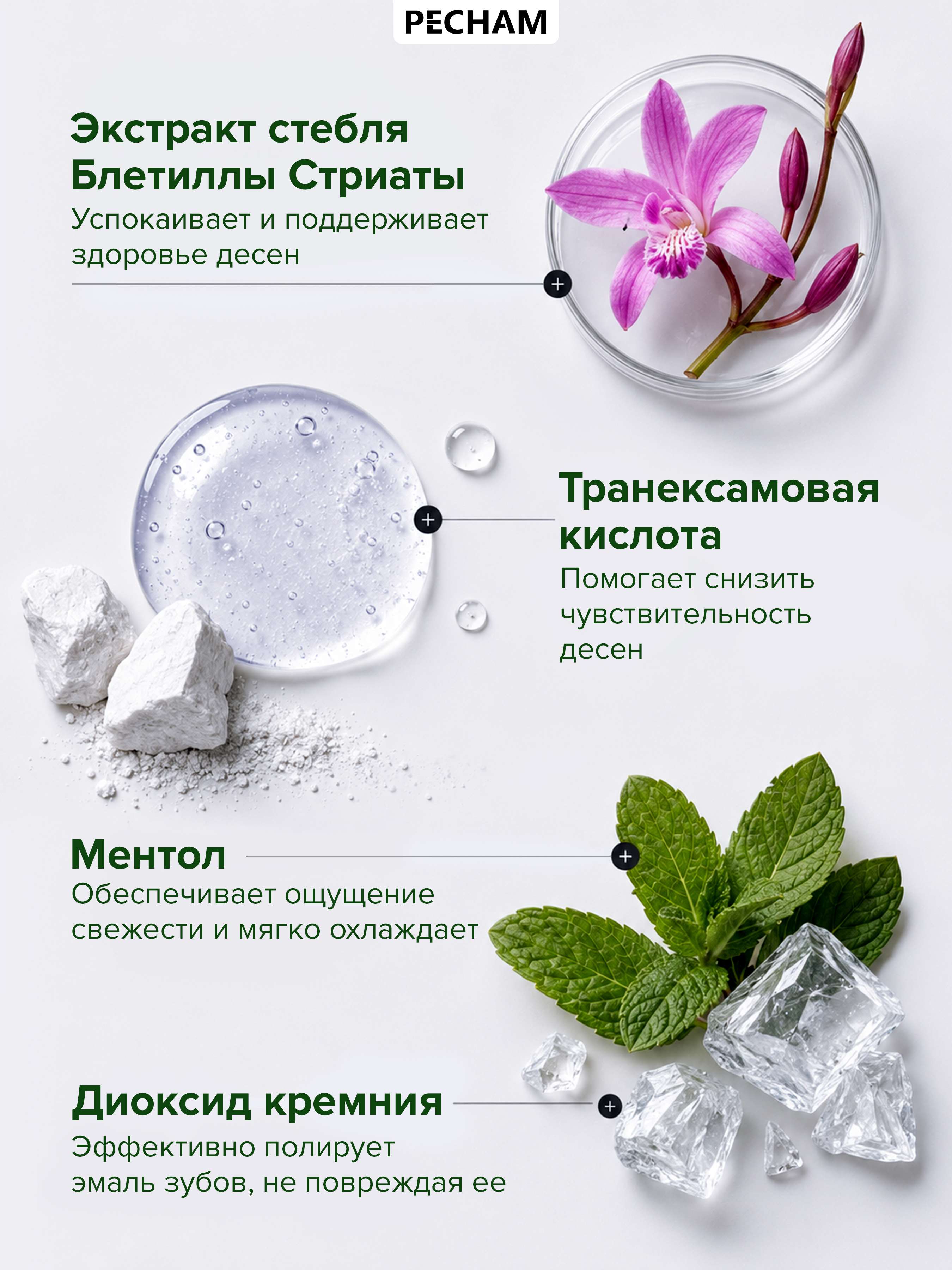Зубная паста PECHAM без фтора Мята 220 г - фото 4