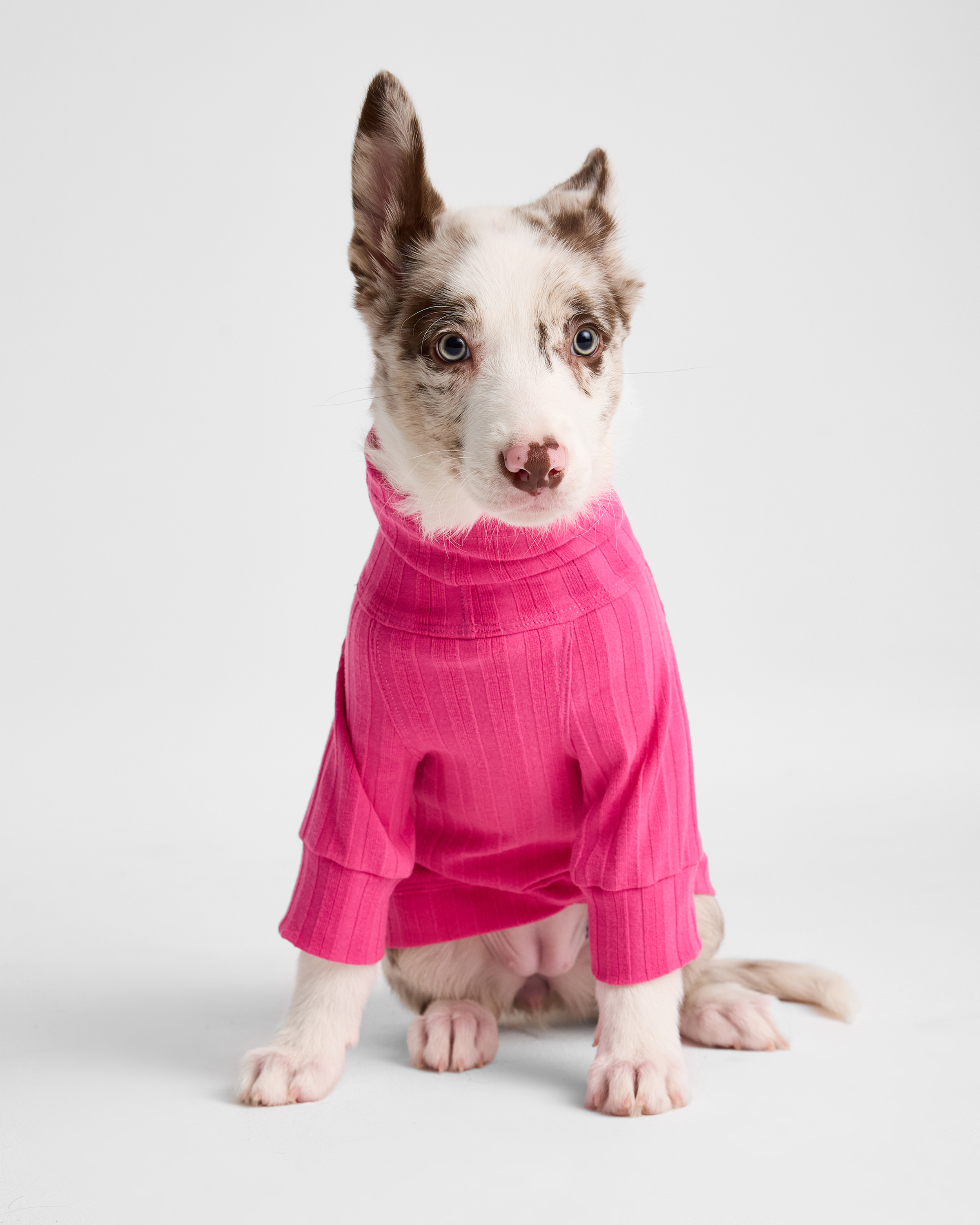 Водолазка для собак и кошек Зоозавр - фото 1