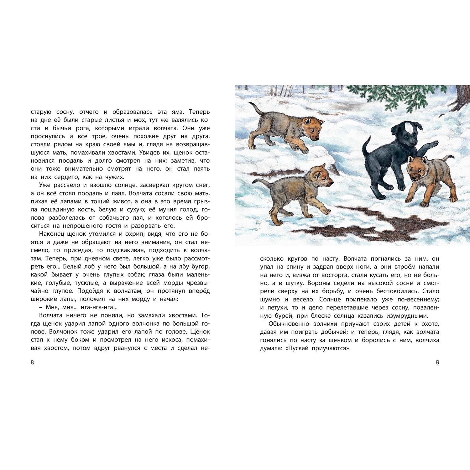 Книга ЭНАС-книга Истории из щенячьей жизни : рассказы - фото 2