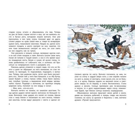Книга ЭНАС-книга Истории из щенячьей жизни : рассказы