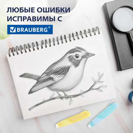 Ластик Brauberg Пастельные цвета 2 шт.