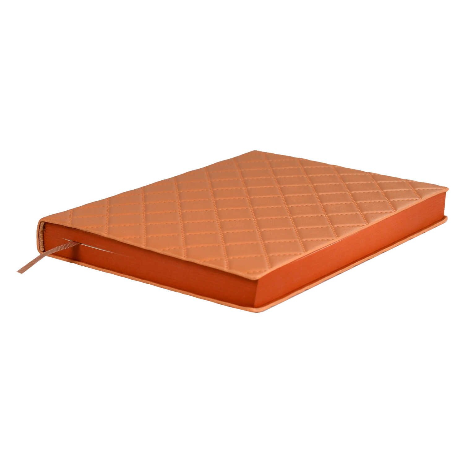 Ежедневник Феникс + ESCALADA 160 лист. - фото 3