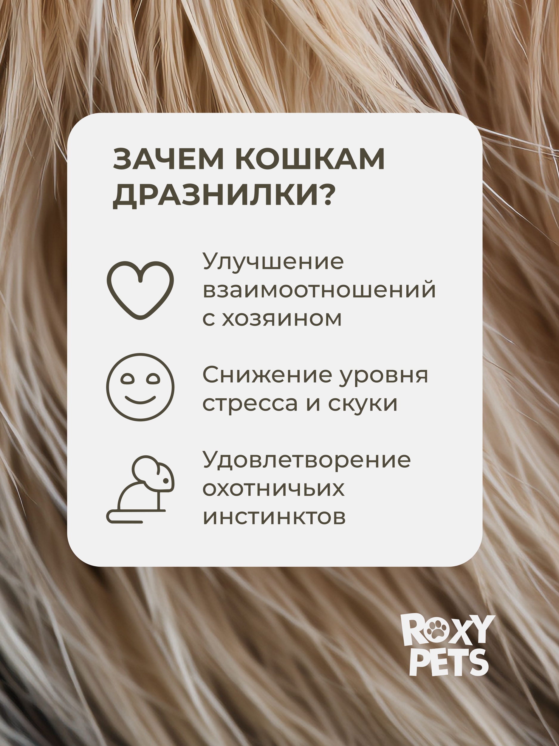 Игрушка ROXY PETS Дразнилка для кошек - фото 3