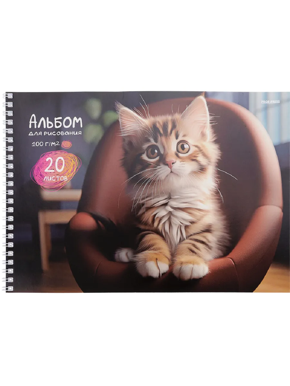 Альбом Prof-Press А4 20 лист. 2 шт. - фото 4