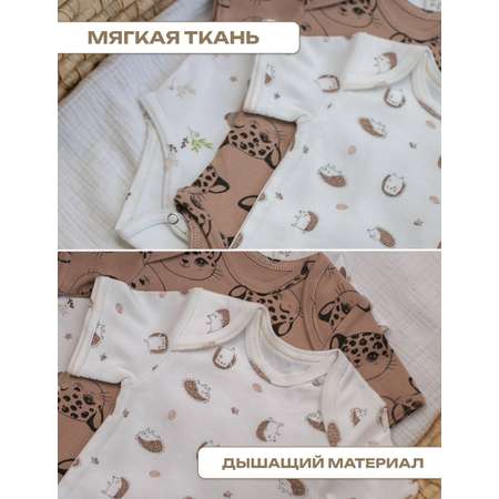 Боди 3 шт Lemur Studio