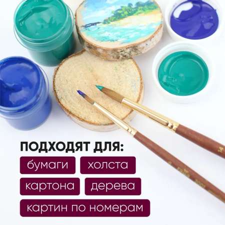 Краски акриловые Gamma_ 9 цв.