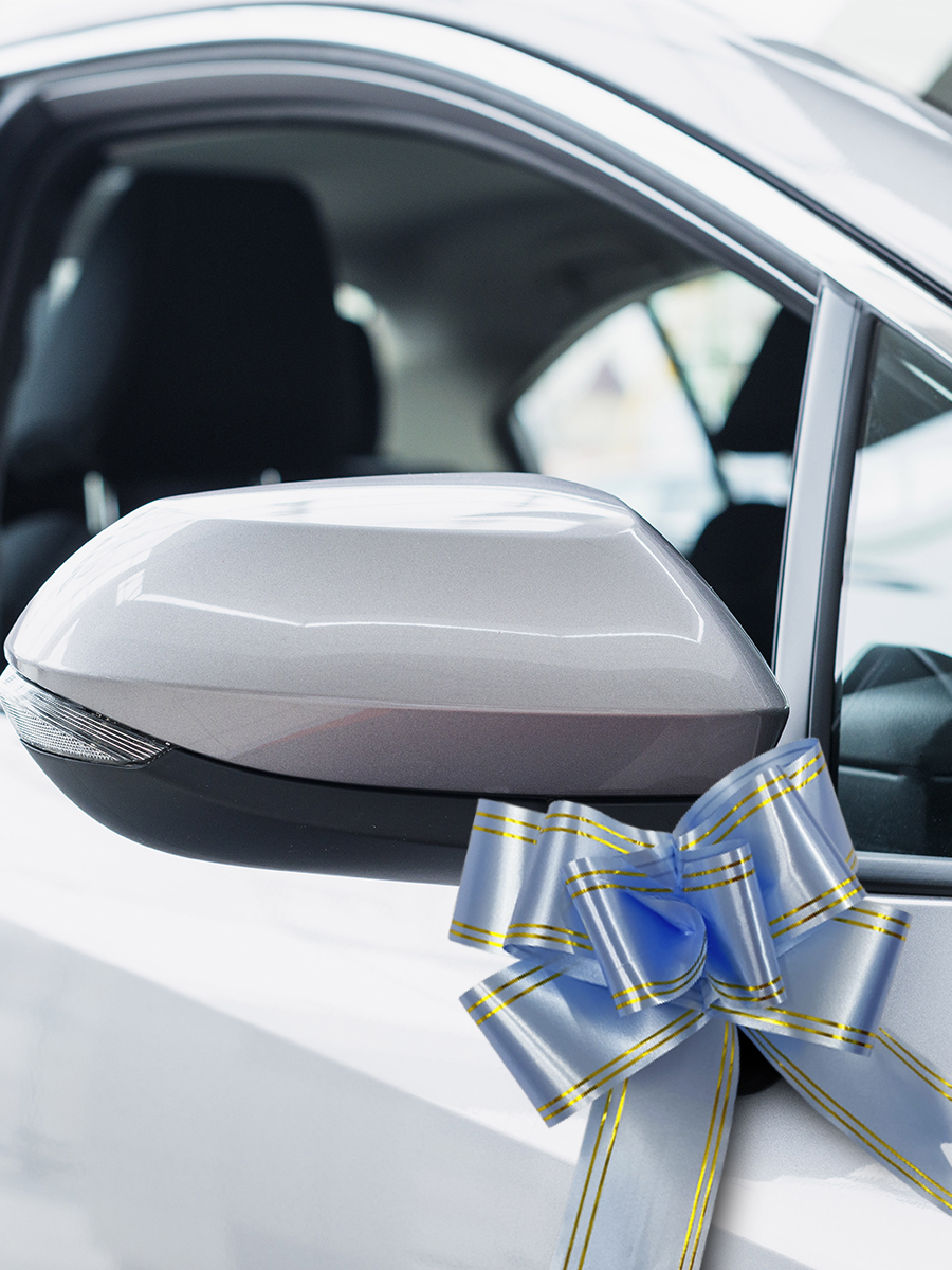 Набор бантиков AXLER для подарков 10 шт - фото 8