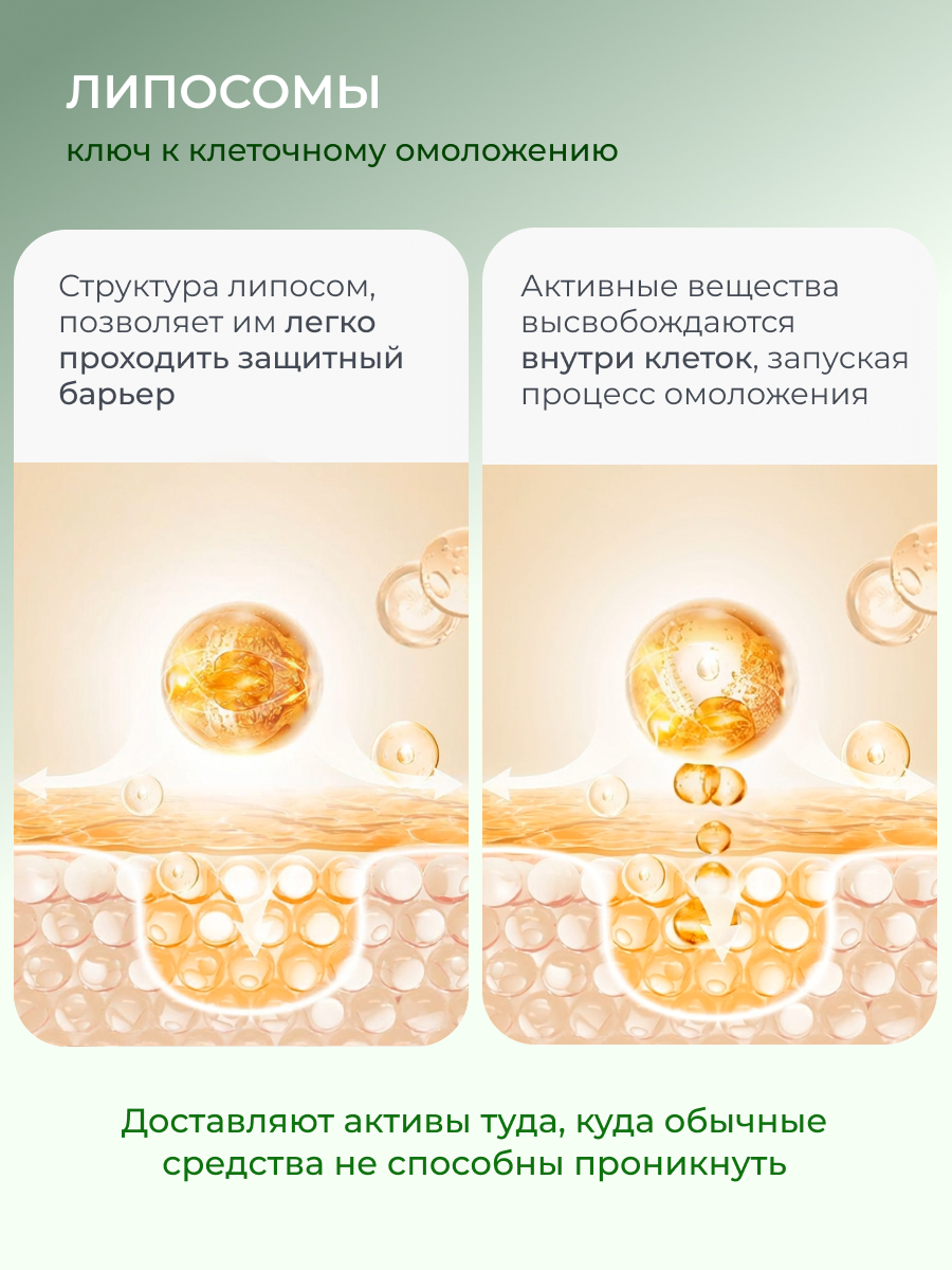 Сыворотка АКАВИЯ Peptide Восстанавливающая - фото 8