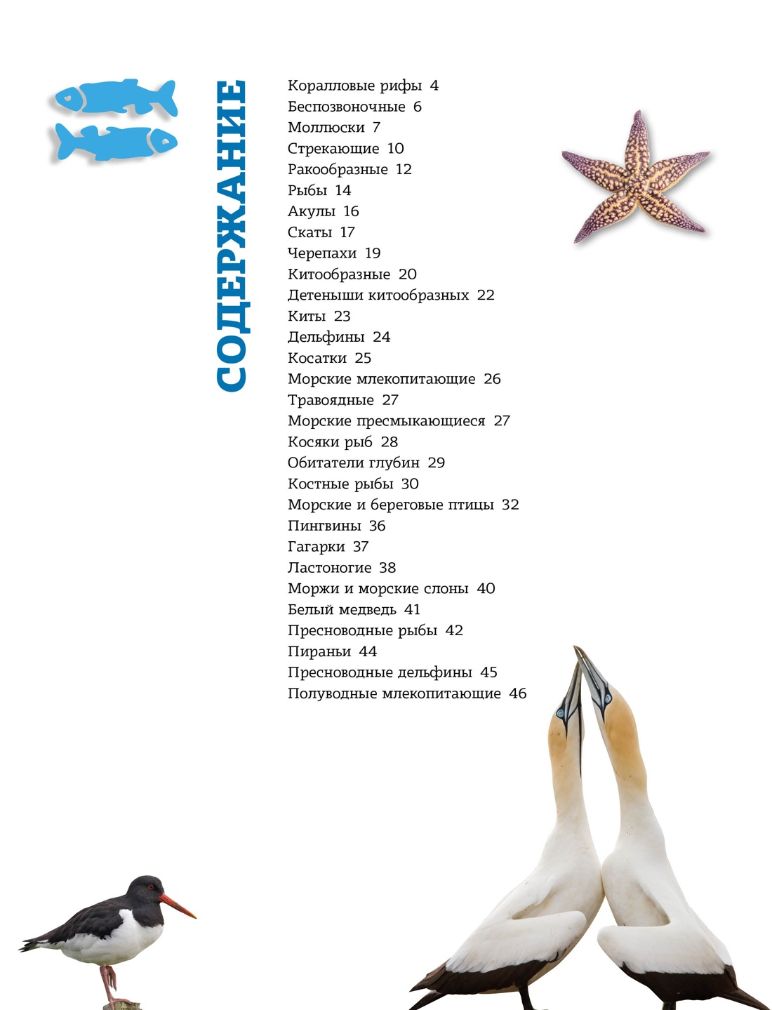 Книга Махаон Весь мир природы для школьника. Большой комплект из 5 книг - фото 3