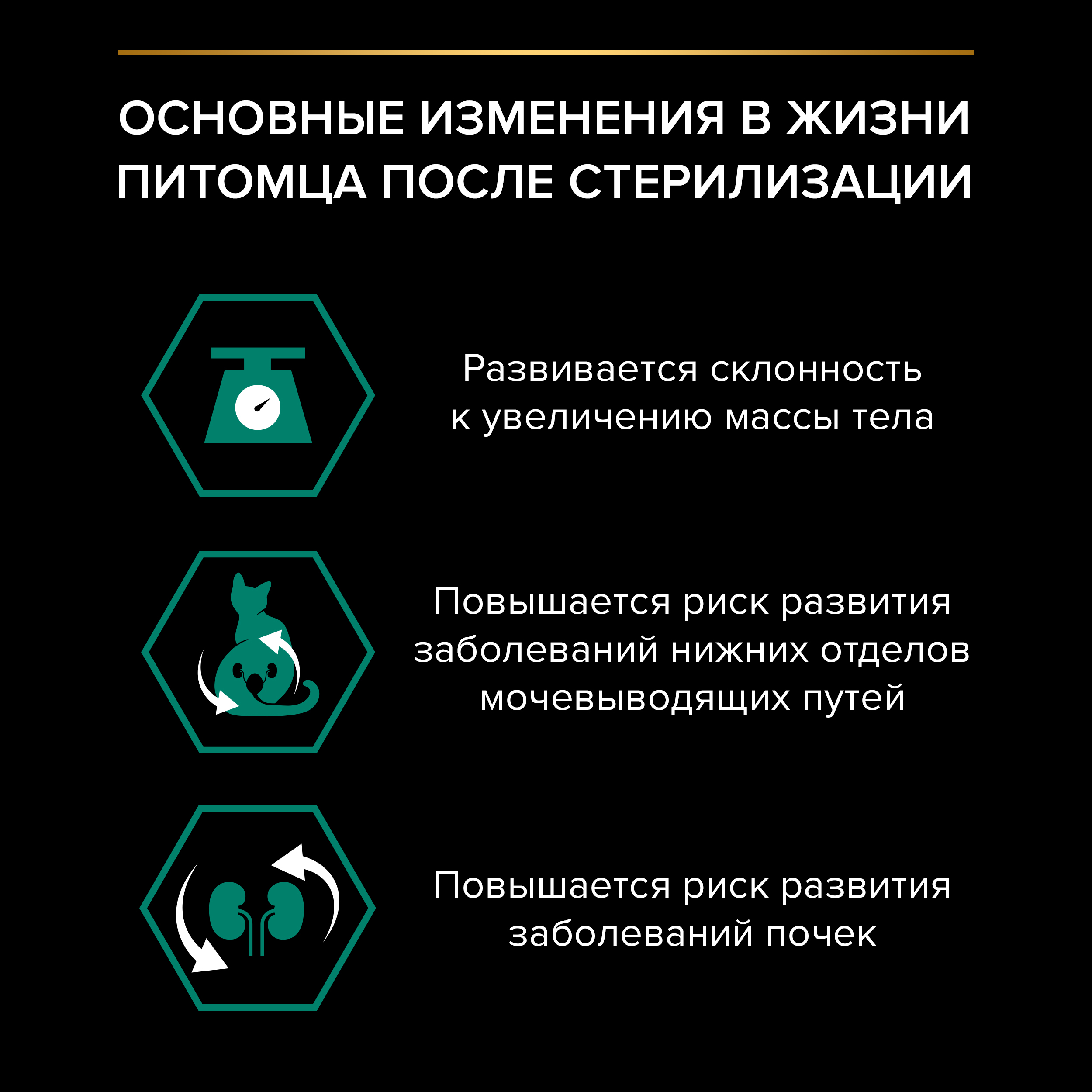 Корм влажный для кошек PRO PLAN MAINTENANCE 85г с рыбой в соусе для стерилизованных - фото 4