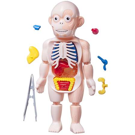 Игрушка Abtoys Доктор (инструменты)