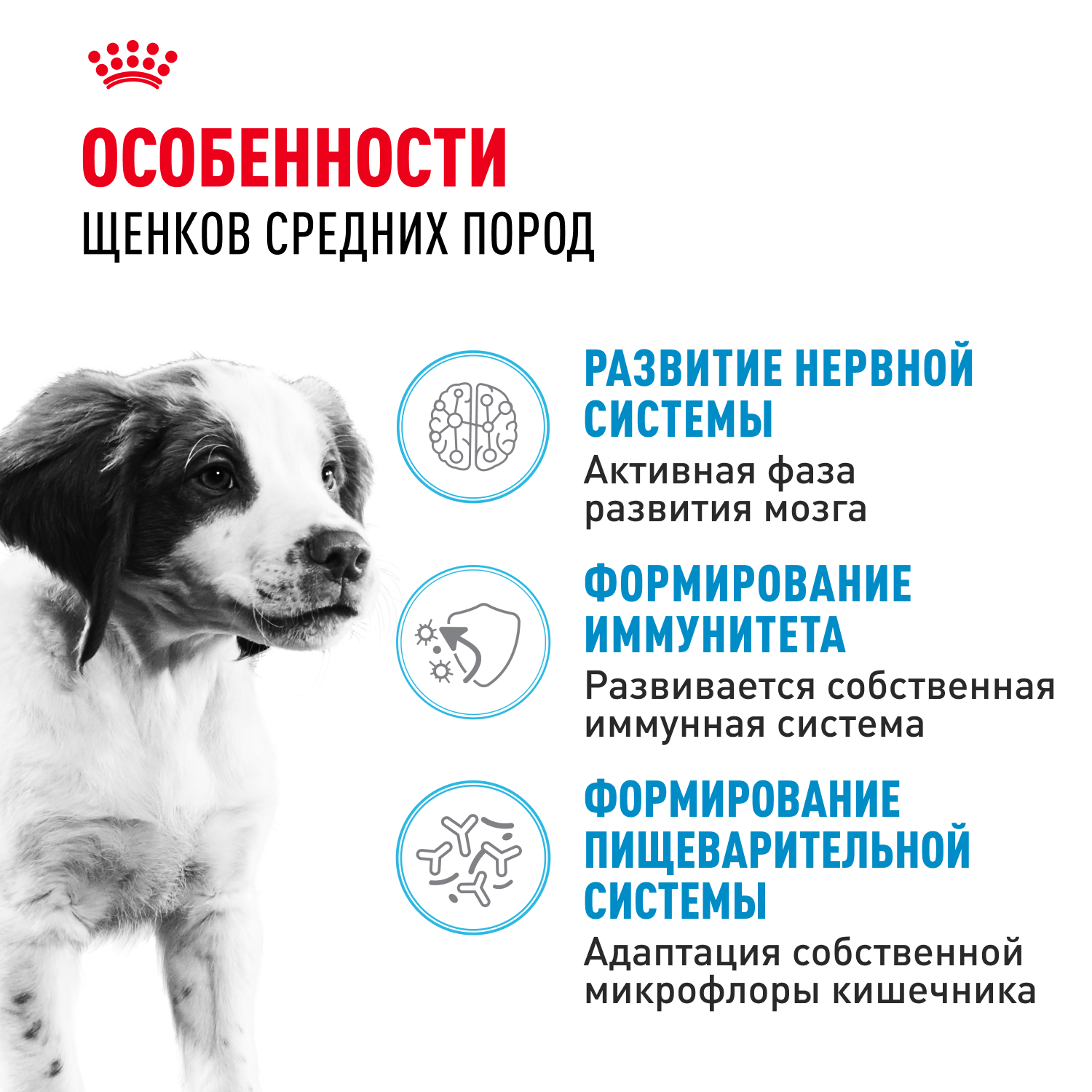 Корм для щенков ROYAL CANIN Medium Puppy средних пород 14кг - фото 2