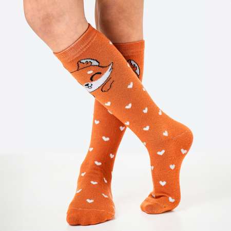 Гольфы 2 пары HappyFox
