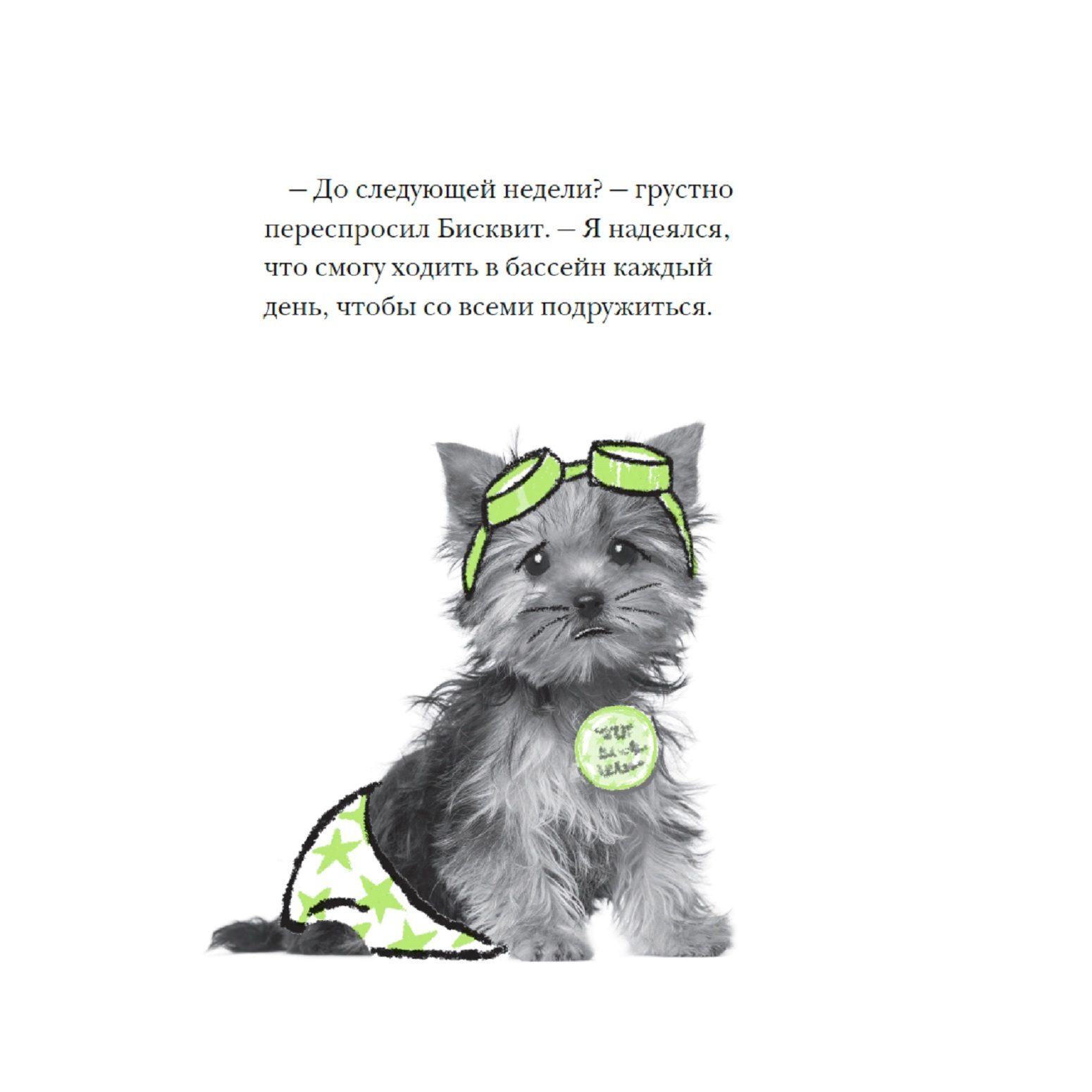 Книга АСТ Щенок Бисквит - фото 4