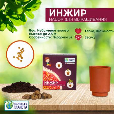 Набор для выращивания ЗЕЛЕНАЯ ПЛАНЕТА