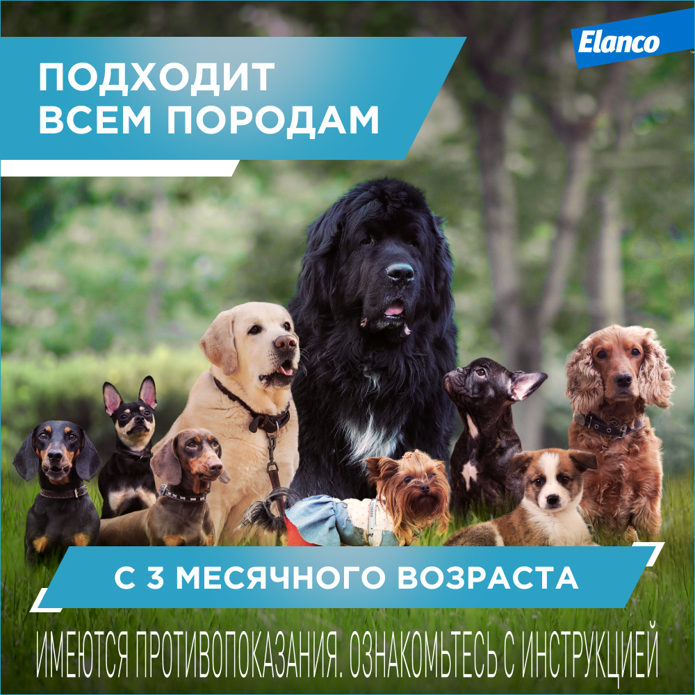 Препарат инсектоакарицидный для собак Elanco Килтикс ошейник 48см - фото 5