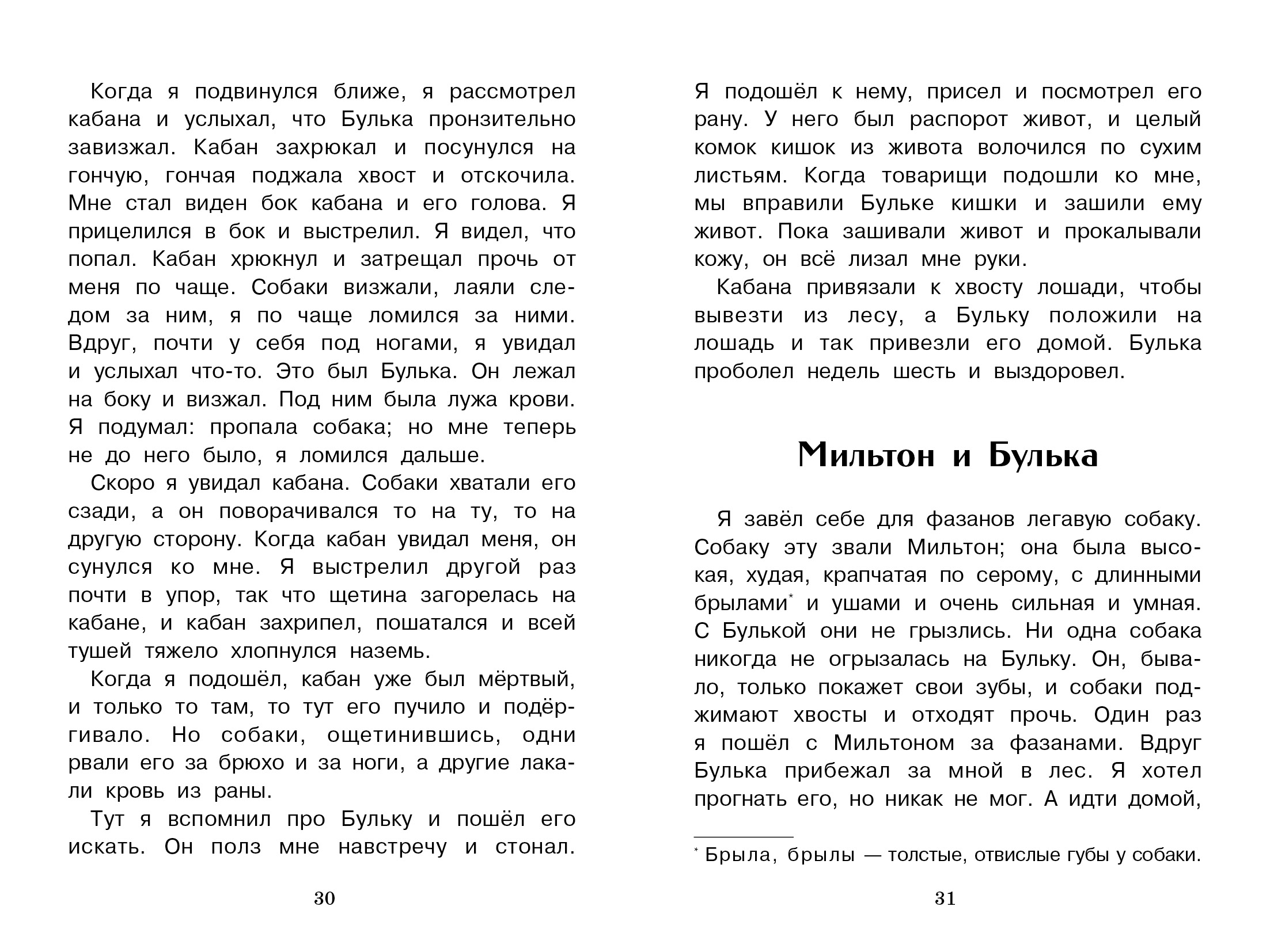 Книга СТРЕКОЗА Внеклассное чтение - фото 2